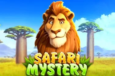 mmk3377 Mobile App ဖြင့် Card Games ကစားနေသည့် မြန်မာ ကစားသမား